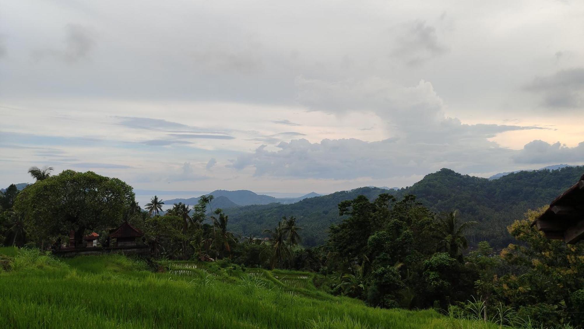 Homestay Merta *